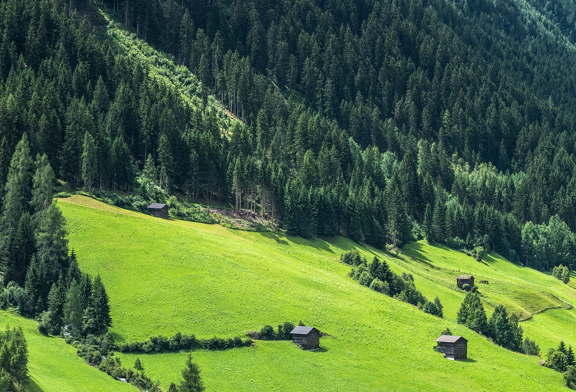 Landwirtschaftliche Wiesen und Hofgebäude in einer mitteleuropäischen Landschaft